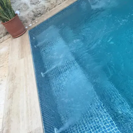 Mavilimon * Sarıbelen