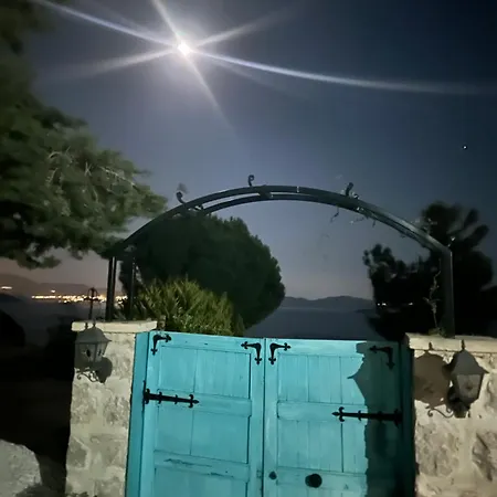 Mavilimon * Sarıbelen